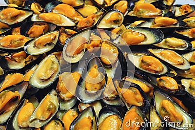 Mussels Stock Photo