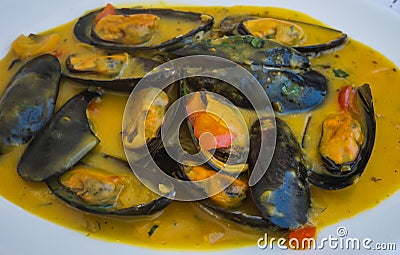 Mussels in lemon-mustard sauce Stock Photo