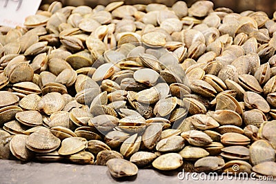 Mussels on the market counter. A lot of seashells on the bazaar for trade Stock Photo