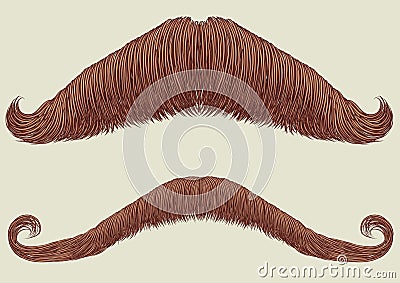 Mustaches for man. Vector Illustration