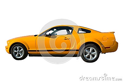 Mustang Stock Photo