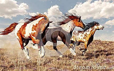 Mustang Race Stock Photo
