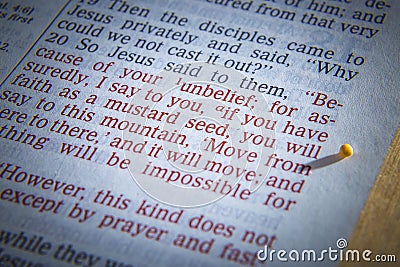 Mustard seed and open Bible Stock Photo