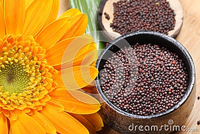 Mustard seeds Stock Photo