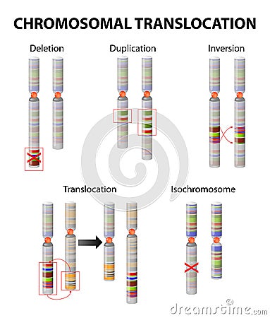 Mutation. Chromosome abnormality Vector Illustration