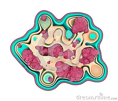 Mutations In Genes Causing Cancer By Accelerating Cell Division Stock Photo