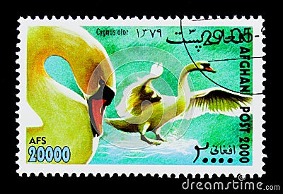 Mute Swan (Cygnus olor), International Stamp Exhibition WIPA '00 Editorial Stock Photo