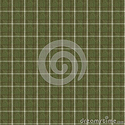 Muted green winter woven plaid texture. Seamless woolen scottish style plaid fabric cloth. Rustic classic checkered Stock Photo