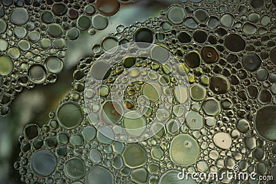 Muted Green and Yellow Oil and Water Abstract Photo Stock Photo