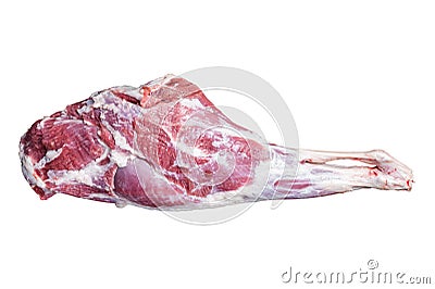 Mutton meat. Raw whole lamb leg thigh on butcher board. Isolated on white background. Stock Photo