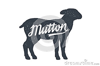Mutton, Sheep, Lamb. Lettering. Vintage lettering, retro print Vector Illustration