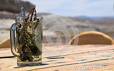 MuÃ±a and coca tea outside Stock Photo