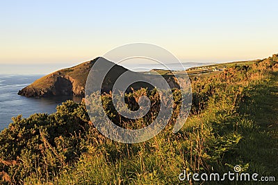 Mwnt Stock Photo