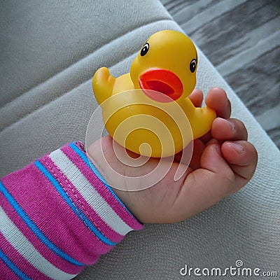 My baby baby little duck Stock Photo