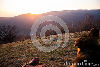 Admiring the sunset with my reliable dog Stock Photo