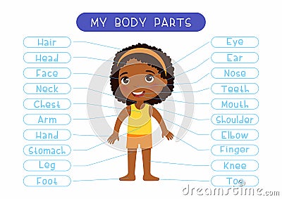 My body parts educational infographic kids poster. Cute african little girl showing external organs names. Stock Photo