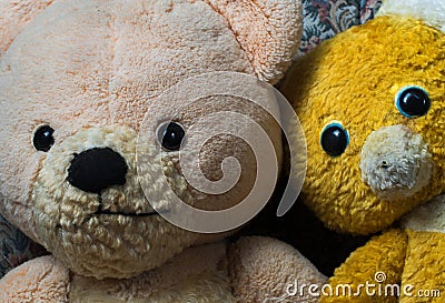 My favorite Teddies Rose and Ronnie Stock Photo