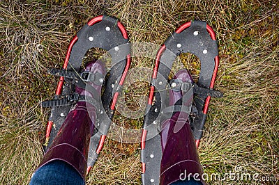 My feet in rubber boots and swamp walks, top view Stock Photo