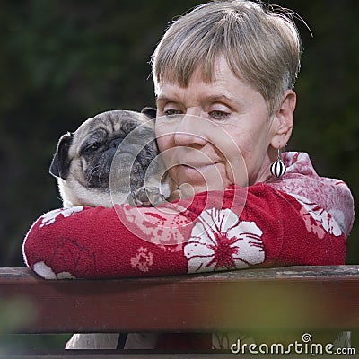 My friend the pug dog Stock Photo