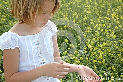 My Lady Bug Stock Photo