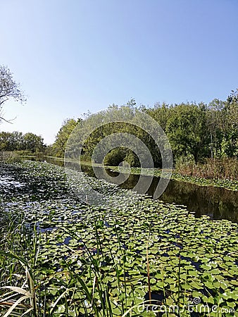 My photos in my few moment travels Turkey Stock Photo