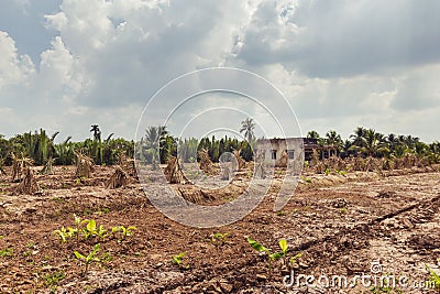 Abandoned house on a rural area Editorial Stock Photo