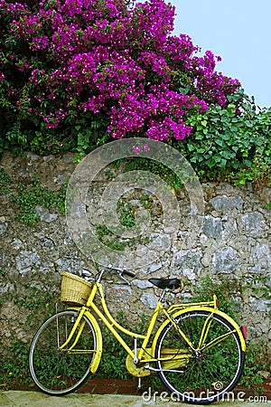 My yellow bicycle Stock Photo