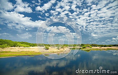 Myakka River Florida Stock Photo