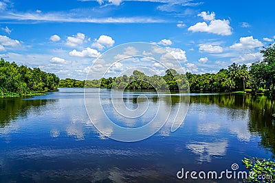 Beautiful Calm Waters of the Myakka River Stock Photo