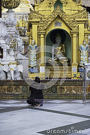 Woman praying inside Shwedagon pagoda in Yangon, Myanmar Editorial Stock Photo