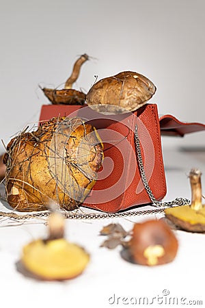 Mycelium leather bags are eco-friendly alternative to leather. Made from fungal spores and plant fibers. Stock Photo