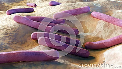 Mycobacterium tuberculosis also known as Koch's bacillus Stock Photo