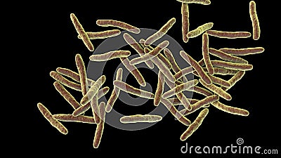 Mycobacterium ulcerans, the causative agent of Buruli ulcer, 3D illustration Cartoon Illustration