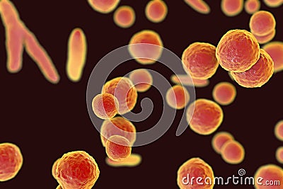 Mycoplasma bacteria, illustration Cartoon Illustration
