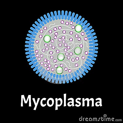 Mycoplasma. Bacterial infections Mycoplasma. Sexually transmitted diseases. Infographics. Vector illustration on Vector Illustration