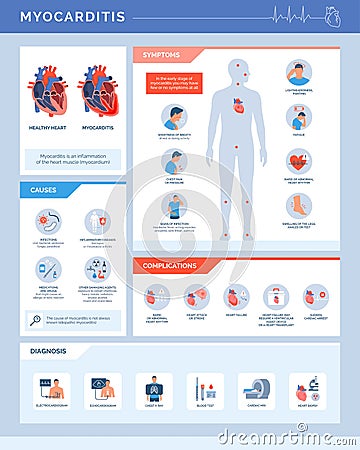 Myocarditis medical infographic with heart section Vector Illustration