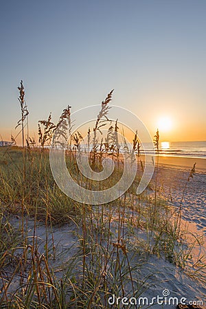 Myrtle Beach Stock Photo