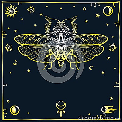 Mysterious background: the stylized color image of a mantis, space symbols. Gold imitation. Vector Illustration