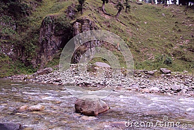 A mysterious cave in a Jungle. Stock Photo