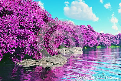 Mysterious Cherry Blossoms Japanese Garden at Lake 3D render 1 Stock Photo