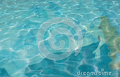 Mermaid Mysterious exotic beautiful sleeping in the ocean Stock Photo