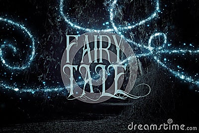 mysterious fairy tale background of dark and haunted forest and magical lights with text. Stock Photo