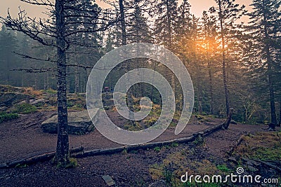 Mysterious foggy forest on Mount Floyen Stock Photo