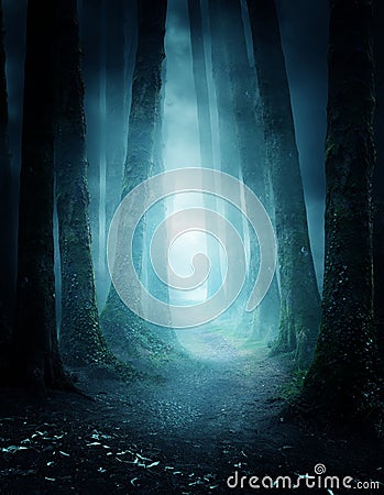 Mysterious Forest Pathway Stock Photo