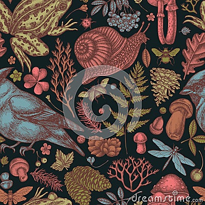Mysterious forest seamless pattern background design. Engraved style. Hand drawn waxwing, snail, pool frog, moss, spruce Vector Illustration