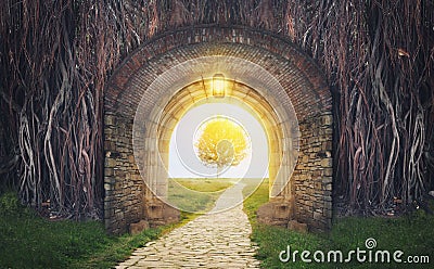 Mysterious gate in dreams. New life or beginning concept Stock Photo