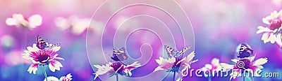 lilac natural panoramic background with butterflies sitting in a row on flowers in the evening summer garden Stock Photo