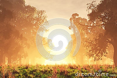 Mysterious Magical Fantasy Fairy Tale Forest Sunset Sunrise Stock Photo