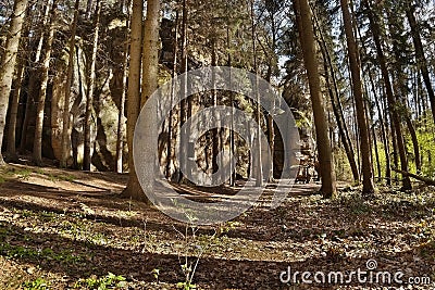 Mysterious rock formation in Peklo valley in spring Machuv kraj region in Czech republic Stock Photo