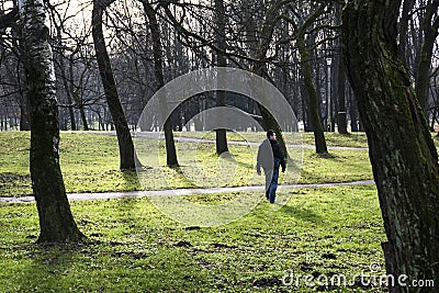 Mysterious and scenic forest with strong contrast and a lost walking man Stock Photo